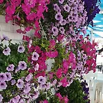Hotell Sky Vela &