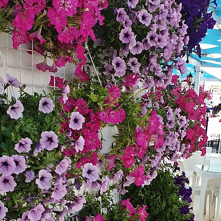 Hotell Sky Vela &
