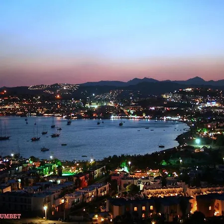 Sky Vela & グムベット