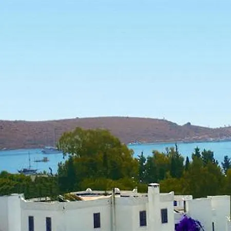 Sky Vela & グムベット