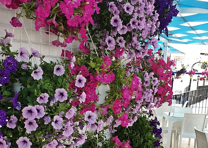 Szálloda Sky Vela &